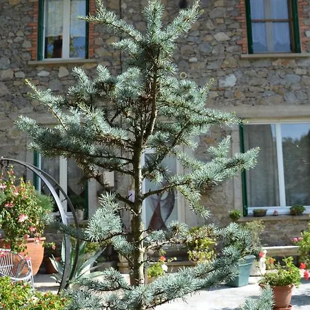 Malou - Cosy, Grande Terrasse Et Vue Riviere Olliergues