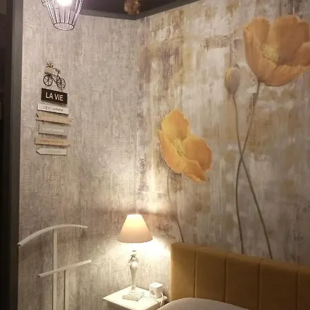 Malou, Cuisine, Salle D'eau, Terrasse Amenagée Appartement *