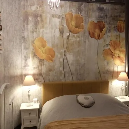 Appartement Malou, Cuisine, Salle D'eau, Terrasse Amenagée *