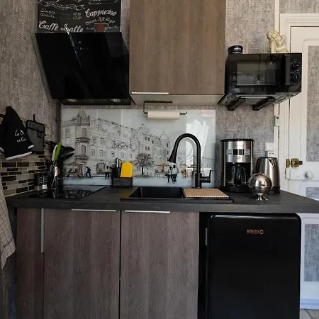 Malou, Cuisine, Salle D'eau, Terrasse Amenagée Appartement Olliergues