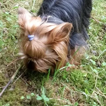 Malou, Cuisine, Salle D'eau, Terrasse Amenagee Apartment *