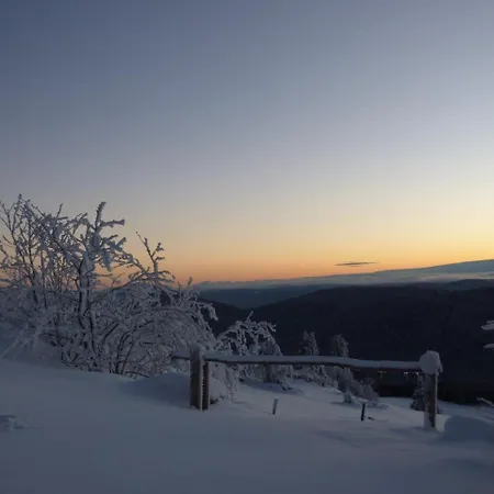 Malou, Cuisine, Salle D'eau, Terrasse Amenagée