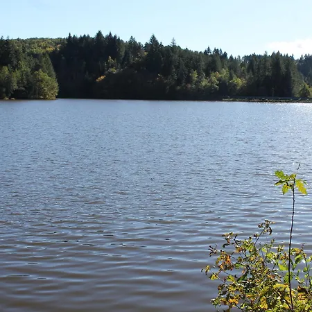 Malou, Cuisine, Salle D'eau, Terrasse Amenagée