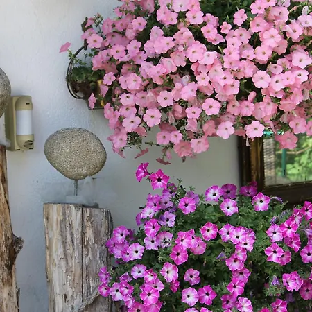 Malou, Cuisine, Salle D'eau, Terrasse Amenagee Lägenhet