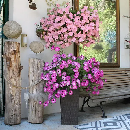 Malou, Cuisine, Salle D'eau, Terrasse Amenagee * Olliergues