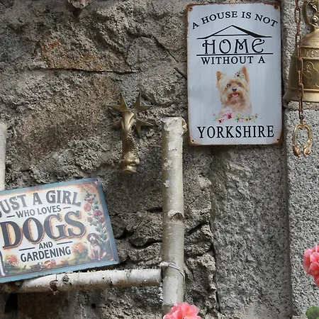 Malou, Cuisine, Salle D'eau, Terrasse Amenagee *