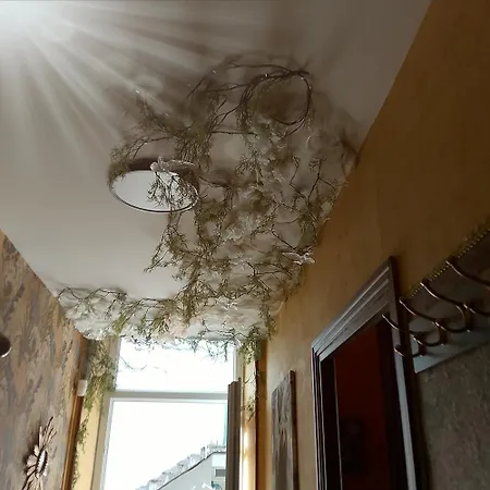 Malou, Cuisine, Salle D'eau, Terrasse Amenagée *