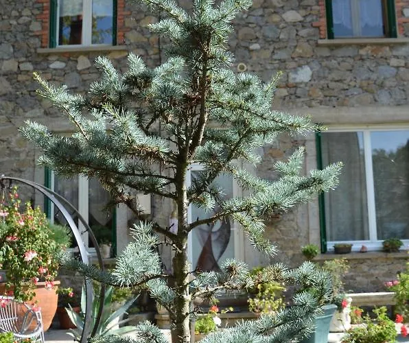 Malou, Cuisine, Salle D'eau, Terrasse Amenagee Olliergues