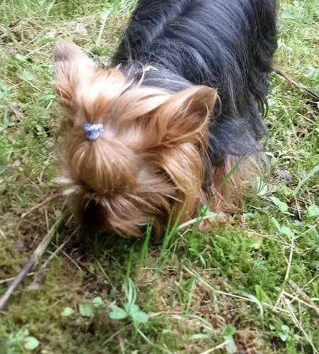 Malou, Cuisine, Salle D'eau, Terrasse Amenagee Apartment *