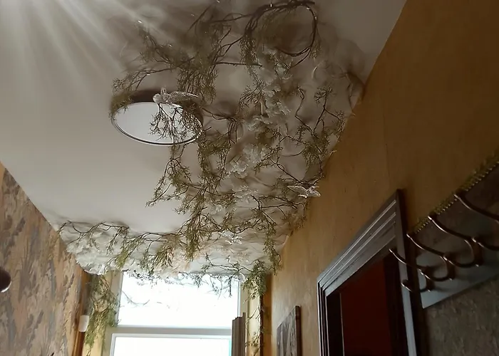 Malou, Cuisine, Salle D'eau, Terrasse Amenagee *